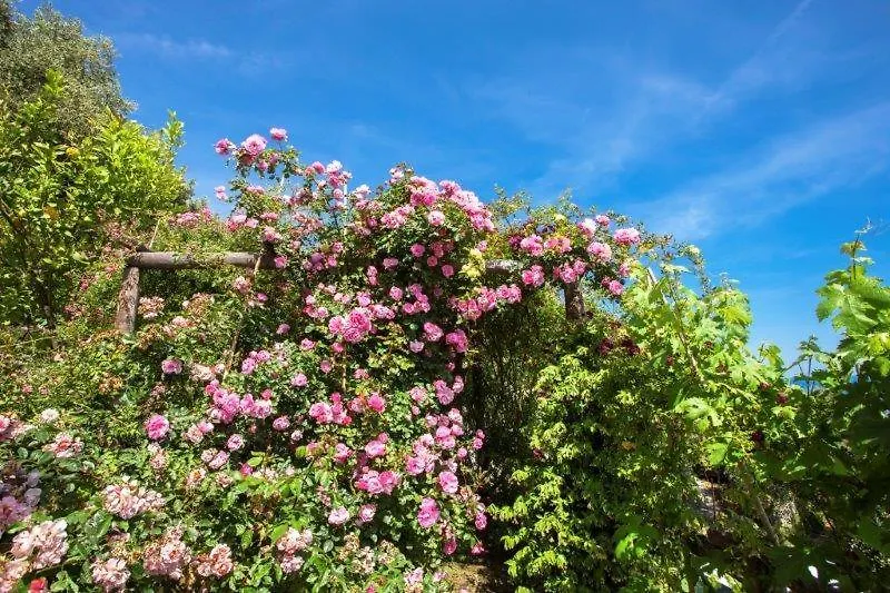 Agriturismo La Selva Hotel Finale Ligure