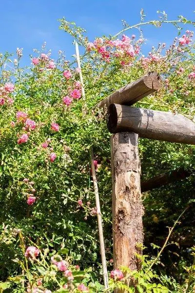 Farm stay Agriturismo La Selva Hotel Finale Ligure