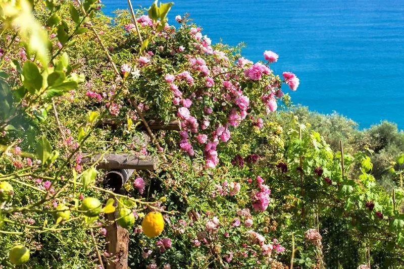 Agriturismo La Selva Hotel Finale Ligure Farm stay